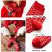 Chinese New Year Red Cotton Socks 3 Pairs Gift Box - Women's Fashion Sports Socks for Spring Festival Luck (Size 34-39) - Buy Online on GoSupps.com