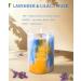 Lavender Candle - Hand-Poured Soy Wax | Aromatherapy Beach Ocean Scent | 90-Hour Burn Time | Perfect Candle Gifts for Women | 15oz Lavender & Lilac Musk - Buy Online on GoSupps.com