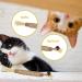 6 Pcs Chew Sticks Cat Toys Cat Teeth Nip Cleaning Chewy Catnip Toys Teeth Grinding Chew toys Natural Kitten Teething Toys Cat Dental Sticks for Indoor Cats Kitty Teeth Cleaning and Stress Release - Buy Online on GoSupps.com