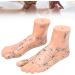 Acupuncture Foot Model - 2 Piece Teaching Set for Massage & Acupuncture Points | International Shipping - Buy Online on GoSupps.com