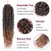 Passion Twist Hair - 14 Inch 8 Packs Crochet Pretwisted Curly Hair for Black Women - T30 - Buy Online on GoSupps.com