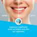 20X Mint Medium Tooth Polish & Stain Remover Cups - Achieve a Bright Smile | International Shipping Available - Buy Online on GoSupps.com