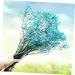 2pcs Plant Decor Gifts Dried Flowers The Gift Dried Flower Decor Creative Preserved Flower Preserved Flower Decor Romantic Preserved Flower Artificial Gypsophila Bluex2pcs 60X20cmx2pcs - Buy Online on GoSupps.com