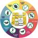 Kangyacare Liver Gallbladder Flush - 1-Night Cleanse Detox Protocol - 7 Piece Set - Buy Online on GoSupps.com