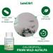 Chlorophyll Capsules - 90 pills - Cold Extracted from Non-GMO Alfalfa - Detox - Alkaline - Natural Body Deodorant Antioxidant - Made in Canada- PACK OF 2 - Buy Online on GoSupps.com