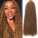 Passion twist hair 7 packs 18-inch water wave hair for long Bohemian hair lichen from hair yddm passion twist crochet hairenhetic hair extensions (27 7pack-18inch) 27# 18inch (7 Pack)