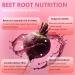 Beet Root Gummies 100mg Red Beet Chewables with Grape Seed, CoQ10, Vitamin C, Iron & B12 Supports Energy Metabolism & Healthy Circulation Sugar Free Supplement for Women & Men, 120 Count - Buy Online on GoSupps.com