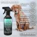 Dirtbusters Pet Odour Eliminator Spray - Enzymatic Deodoriser Wild Fig & Cassis 500ml - Buy Online on GoSupps.com