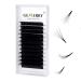 Volume Lash Extensions 0.05 Easy Fan Volume Lashes D Curl 15-20mm Eyelash Extensions Easy Fan Lash Self Fanning 2D-10D Auto Rapid Blooming by GEMERRY (0.05-D Curl-Mix 15-20mm) 0.05-D-15-20mm