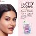 Lac.to Calamine Face Wash for Oily Skin - 100ml (Pack of 2) | Kaolin Clay Niacinamide & Vitamin E | Reduces Excess Oil - Buy Online on GoSupps.com
