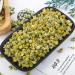 Chamomile Camomile Anthemis Nobilis Bulk Chamomile Tea Chamomile chamomile Tea Bags chamomile Tea Bags Bulk Chamomile Flower Loose Dried Chamomile Tea Chamomile Flowers (32 oz) - Buy Online on GoSupps.com