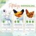STAWA Premium Non-GMO Chicken Feed with Oregano & Peppermint Oil - 10 kg | Quality Poultry Grain Feed for Healthier Hens - Buy Online on GoSupps.com