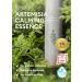 Missha Artemisia Calming Essence 150ml | 100% Mugwort Toner for Sensitive Skin | Soothes Redness & Acne | Korean Skincare - Buy Online on GoSupps.com