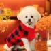Katzinst Christmas Dog Sweater for Small Dogs | Fleece Styles for French Bulldogs Dachshunds Chihuahuas & Yorkshire Terriers | Red & Black - Buy Online on GoSupps.com
