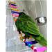 JJ Store Wooden 80cm Parrot Ladder Bridge with Hooks - Pet Bird Toy - Buy Online on GoSupps.com