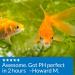 API PROPER pH 7.5 Freshwater Aquarium Water pH Stabilizer 260 g Container - Buy Online on GoSupps.com