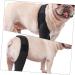 CIYODO Knee Pads Puppy Leg Supplies Pet Injury Leg Dog Nose Balm Pet Injury Knee Paw Large Dog Splint S As Shown - Buy Online on GoSupps.com