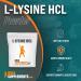 L-Lysine HCl Powder - 1kg (2.2 lbs) - Immune Support Amino Acid Supplement - Buy Online on GoSupps.com