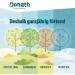 Buy DONATH Organic Energy Dumplings for Wild Birds - Classic Meisen Dumplings 100g Pack - Premium German Bird Feed - 100 Pieces - Buy Online on GoSupps.com
