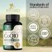 CoQ10 100mg Softgels - Best Antioxidant for Heart Health & Energy Support | Non-GMO Gluten Free | 60 Count Coenzyme Q10 Supplement - Buy Online on GoSupps.com