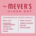 MRS. MEYER'S CLEAN DAY Peppermint Liquid Dish Soap - Biodegradable Limited Edition 16 fl. oz - Eco-Friendly Cleaning Solution for International Shipping - Buy Online on GoSupps.com