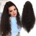 Allyreetress Long Curly Drawstring Ponytail Extension for Women Clip in Ponytail Hair pieces Synthetic Long Curly Wavy Clip in Pony tail Hair Extensions for Daily Party Use (26 Inch Dark Brown) 26 inches Dark Brown