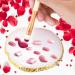 WLLHYF Nail Art Palette - Irregular Makeup Plate & Gold Edge Holder for Beauty Nail Art | Mixed Color Resin Painting Tool - Ideal for Hand-Painted Toning in True Pink - Buy Online on GoSupps.com