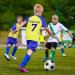 Ronronner No. 7 Yellow Football Jersey Set for Kids & Adults | Short-Arm Jersey with Shorts & Socks Perfect for Young Fans! - Buy Online on GoSupps.com