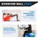 DYNAPRO 55cm Silver Exercise Ball - Extra Thick Anti-Burst Material for Home Gym, Yoga, and Pregnancy - Supports over 2200lbs - Buy Online on GoSupps.com