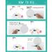 Buy Pettom 3-in-1 Interactive Cat Toy: Ball Spring & Rotating Butterfly Teaser - Automatic Fun for Kittens & Cats - International Shipping - Buy Online on GoSupps.com