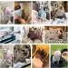 Bonaweite Hairless Cats Turtleneck Sweater - Breathable Adorable Cat Wear Shirt for Sphynx, Cornish Rex, Devon Rex, Peterbald - Blue - Buy Online on GoSupps.com