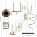 Eunewr Bird Toys for Parrots - 7-Piece Wooden Swing & Climbing Hammock Set for Conures Macaws & Finches - Perfect for Your Feathered Friends! - Buy Online on GoSupps.com