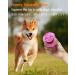 Tongktai Plush Dog Toy Balls 4 Pack - Squeaky Soft Plush Balls for Small & Medium Pets | Interactive Retrieval Game - Pink Blue Yellow & Green - Buy Online on GoSupps.com