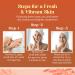 Envy Vitamin C & E Under Eye Cream | Brightening & Anti-Aging for Dark Circles & Puffiness | Korean Cruelty-Free Skin Care - 1.01 OZ - Buy Online on GoSupps.com