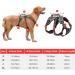 Heele Reflective Dog Harness - Breakout Buckle Robust Handle & Panic Clip for Secure Comfort - Fits Like a Glove - Black SS - Buy Online on GoSupps.com