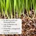 Buy Terra Exotica Vermiculite 100 Liters (Coarse 0-6 mm) for Optimal Plant Growth - International Shipping Available - Buy Online on GoSupps.com