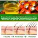 PBeauty 2x Organic Batana Oil Vegan for Hair Face & Nails Cold Pressed 60ml For Hair Growth & Skin Care Oil against Hair Loss & Split Ends Hair Growth Hair Care 2 x 60ml - Buy Online on GoSupps.com