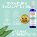 GuruNanda Eucalyptus Shower Spray (4 Fl.Oz, 2 Pack) - Pure Eucalyptus Essential Oil Mist for Sinus Relief and Luxury Spa Experience - Buy Online on GoSupps.com