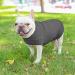 Buy Docio Soft & Warm Dog Sweater - Spring T-Shirt for Small Dogs & Cats - Gray (1 Pack) - Buy Online on GoSupps.com