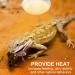 REPTI HOME Reptile Heat Lamp Bulbs 2 Pack 100W Heat Lamp for Reptiles E27 Basking Light Bulb for Vivarium Turtle Lizard Tortoise Bearded Dragon Puppy Chick - Buy Online on GoSupps.com
