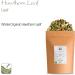 Hawthorn Leaf Organic Flower Tea - High Food Grade 100g (Pack of 1) - Hawthorne Leaves and Flowers - Buy Online on GoSupps.com
