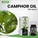 Elhawag Camphor Oil Pure & Natural Cold Pressed (1 Pack 1.01 oz / 30 ml) Concentrated Crude Perfect Fresh For Food Cooking Body Egypt Non Gmo Kosher Halal  - Buy Online on GoSupps.com