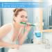 200 Pack Individually Wrapped Disposable Soft Bristle Toothbrushes - Ideal for Travel, Hotel, Camping - No Water Needed - 4 Colors - Buy Online on GoSupps.com