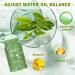 Green Tea Mask Stick - Blackhead Remover & Oil Control | Deep Cleansing for All Skin Types - Buy Online on GoSupps.com