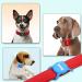 Pet Collar AirTag Holder with Screen Protectors - Black Silicone Protective Case for Apple AirTags - Buy Online on GoSupps.com