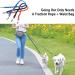 JVHLOV Double Dog Leash - 360 Rotatable for 2 Dogs | Ideal for Small Medium & Large Dogs - Blue - Buy Online on GoSupps.com