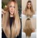 Vebonny Ombre Brown Lace Front Wigs for Women Straight Hair Wight with Roots Middle Part Glueless Wig 20 Inch Vebonny-038-New #038NEW