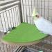 KINTOR Bird Perch Stand Birdcage Platform for Small Medium Parrot Rat Small Animal 7inch Green