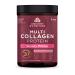 Dr. Axe / Ancient Nutrition Multi Collagen Protein Beauty Within Guava Passionfruit 1.15 lb (522 g)