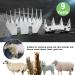 MAWAER 9 Tooth Sheep Shears Replacement Blades for Oster, Lister, Heiniger Clippers - Detachable Animal Trimmer for Grooming Sheep, Goats, Llamas, Alpacas - Buy Online on GoSupps.com